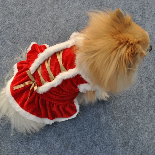 Velvet Holiday Skirt for Pets